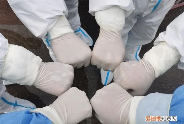 写给抗疫一线的老师的一封信,写给抗疫一线的老师一封信