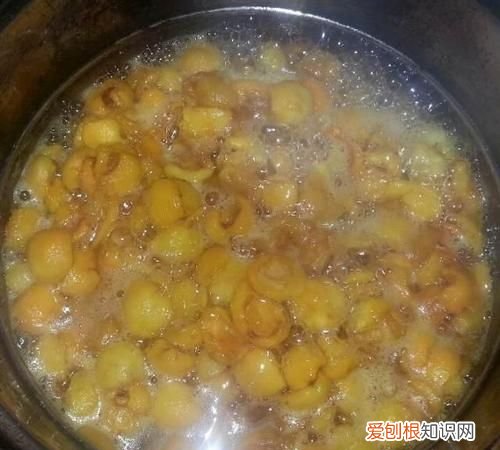 枇杷膏可以用铁锅熬吗