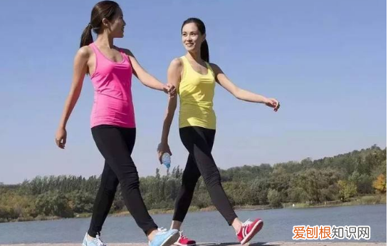 站着耗力还是走路耗力