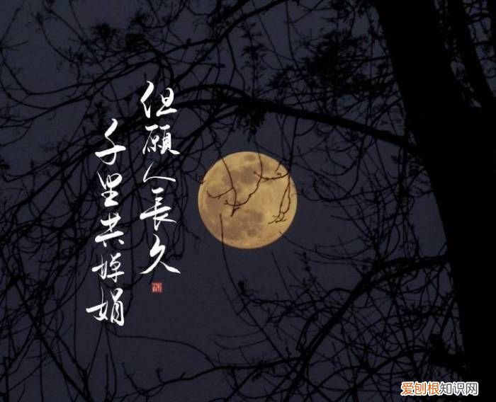 但愿人长久千里共婵娟婵娟到底是什么意思？ 但愿人长久 千里共婵娟的意思