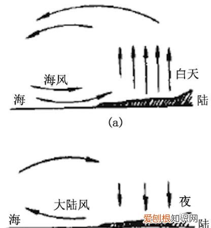 风的特点是什么,风的结构是什么