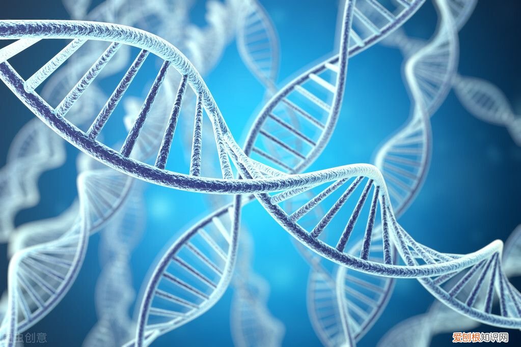 糖尿病早期症状有哪些？ 糖尿病的早期症状是什么？