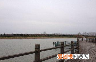 崇明岛旅游景点都有哪些 崇明旅游