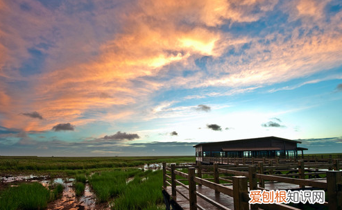 崇明岛旅游景点都有哪些 崇明旅游