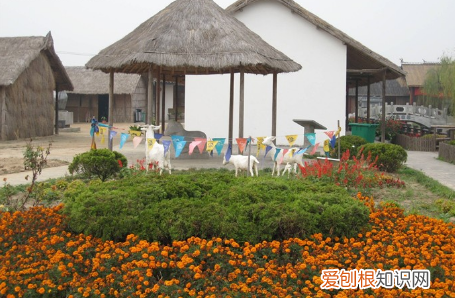 崇明岛旅游景点都有哪些 崇明旅游