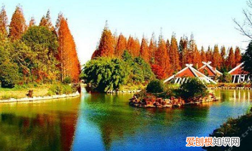 崇明岛旅游景点都有哪些 崇明旅游