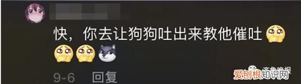 宠物博主让狗当大胃王怎么回事 宠物博主让狗当大胃王