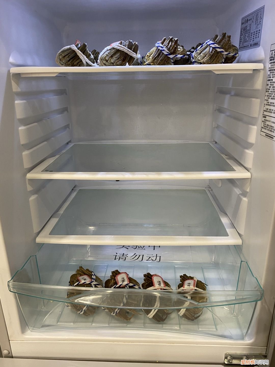 螃蟹死了为啥不能吃? 死螃蟹可以吃吗