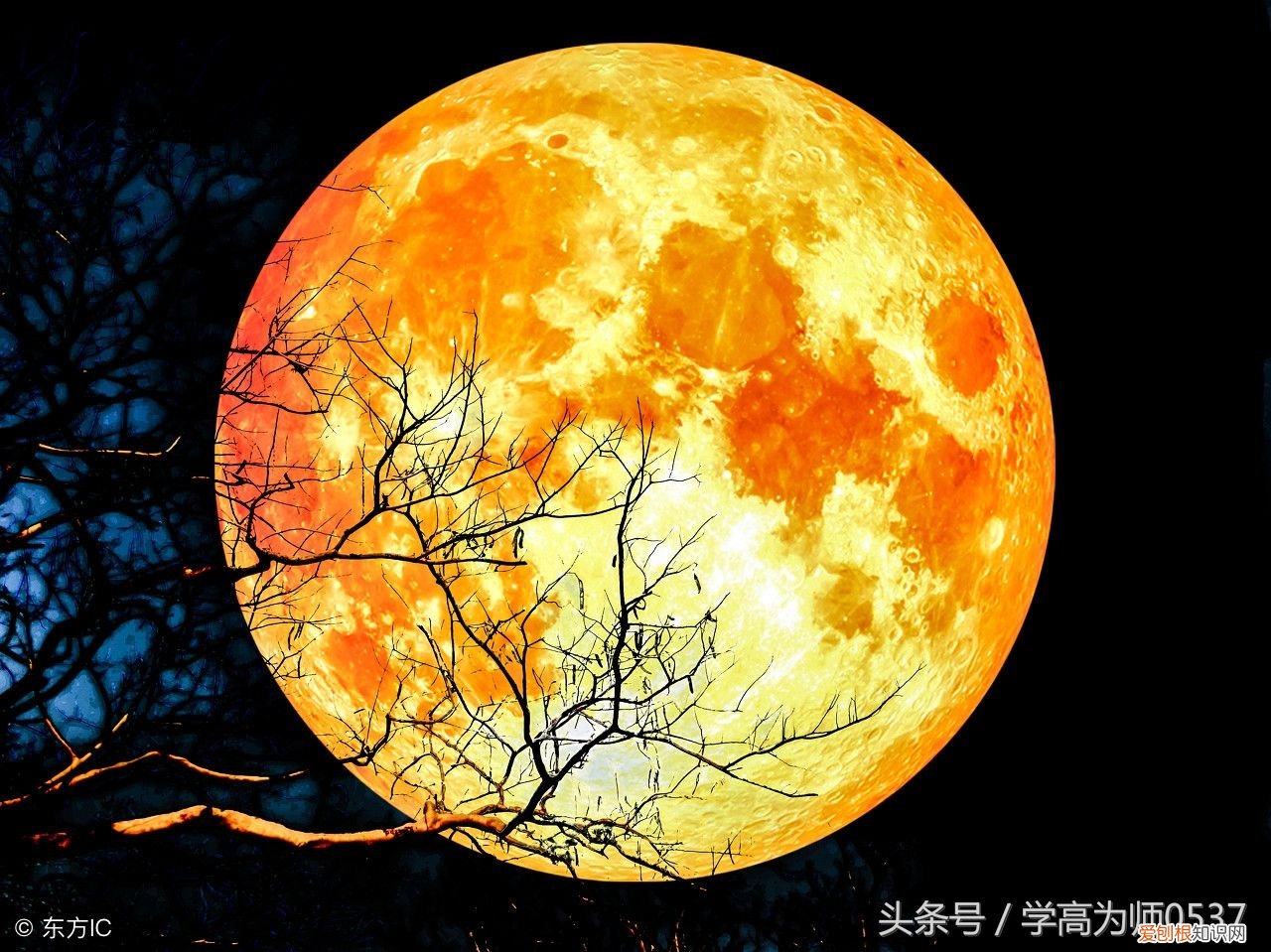 关于中秋节的作文500字10篇 中秋节500字优秀作文