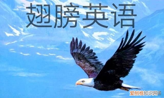 关于英语里句号的用法 句号英语