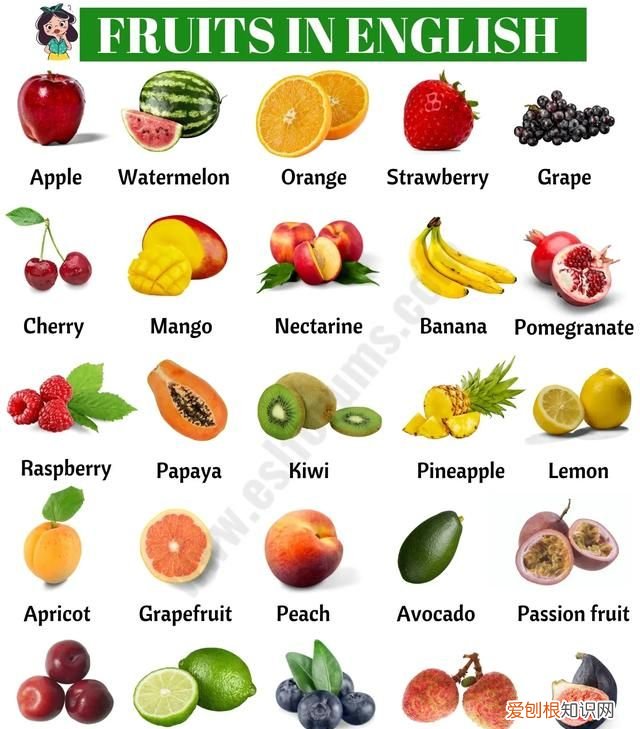幼儿园英语水果单词大全100个
