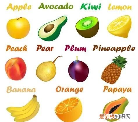 幼儿园英语水果单词大全100个