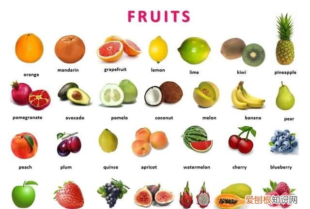 幼儿园英语水果单词大全100个