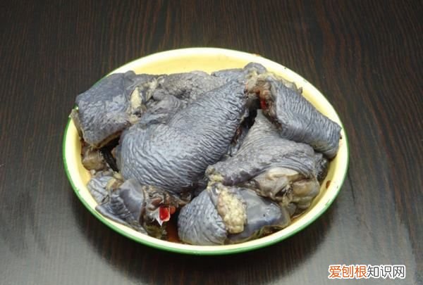 乌鸡汤能不能放盐