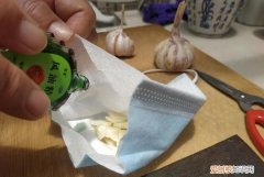风油精加大蒜能驱蚊吗