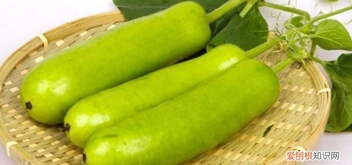 护瓜的制作方法，护瓜的功效和作用是什么