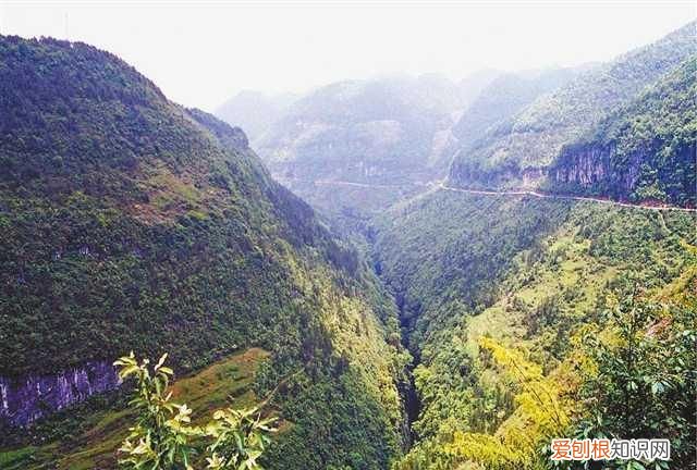 三峡之巅诗橙奉节红