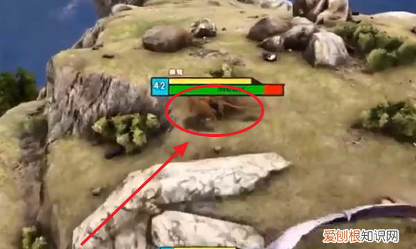 方舟生存进化狮鹫怎么训，手游方舟狮鹫怎么驯服吃什么