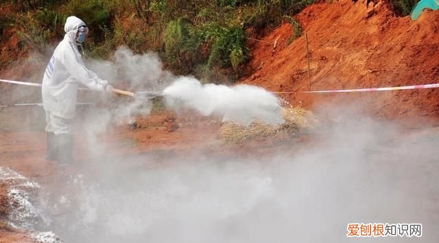 石灰粉撒地能消毒吗,放了几年的石灰粉还能撒土里消毒