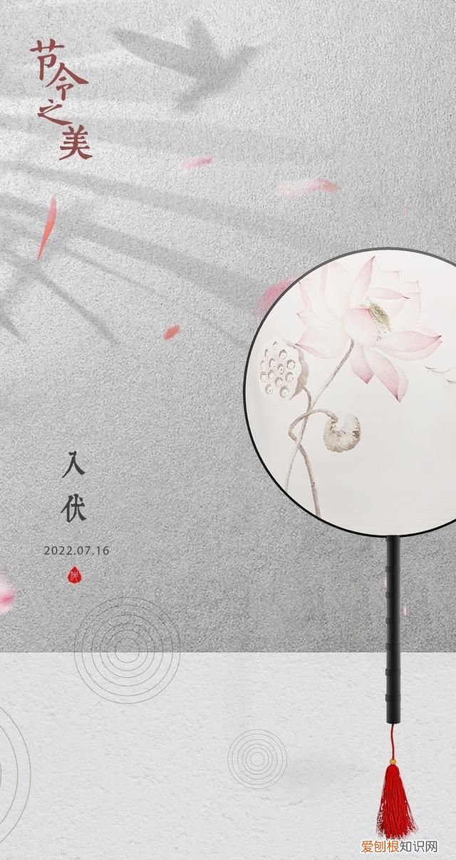 今年的三伏天长达40天,今年三伏天长达40天了