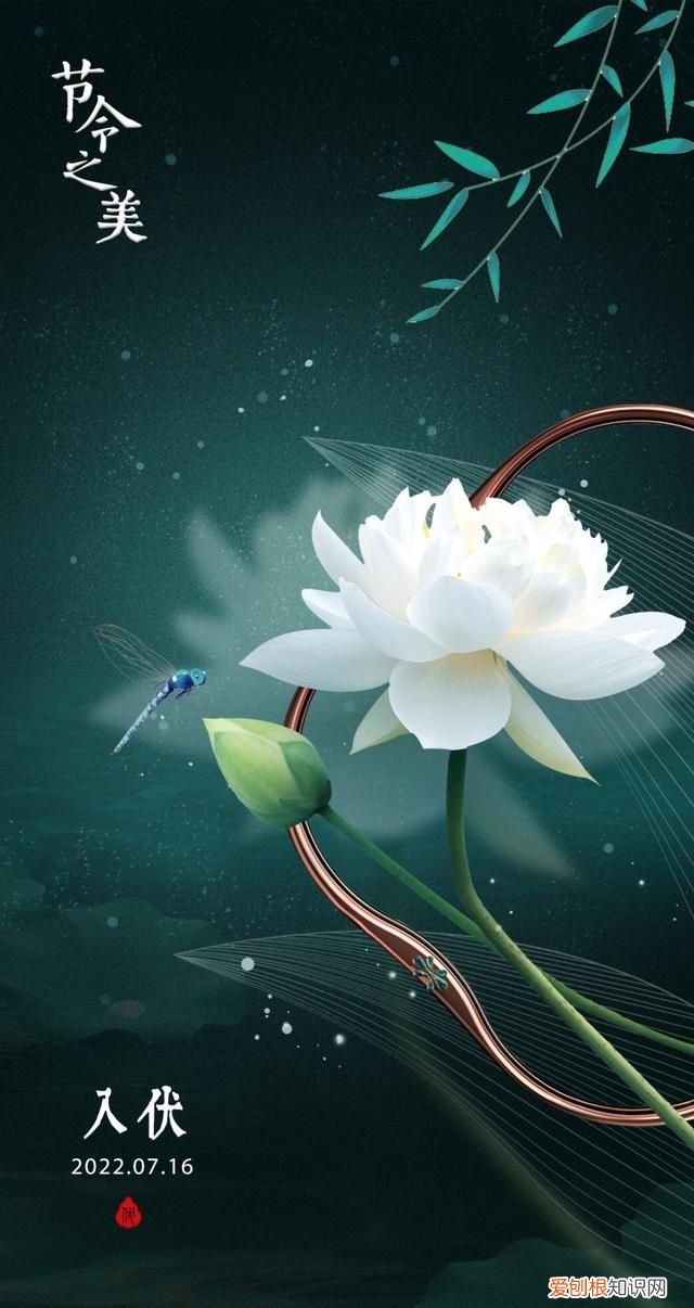 今年的三伏天长达40天,今年三伏天长达40天了