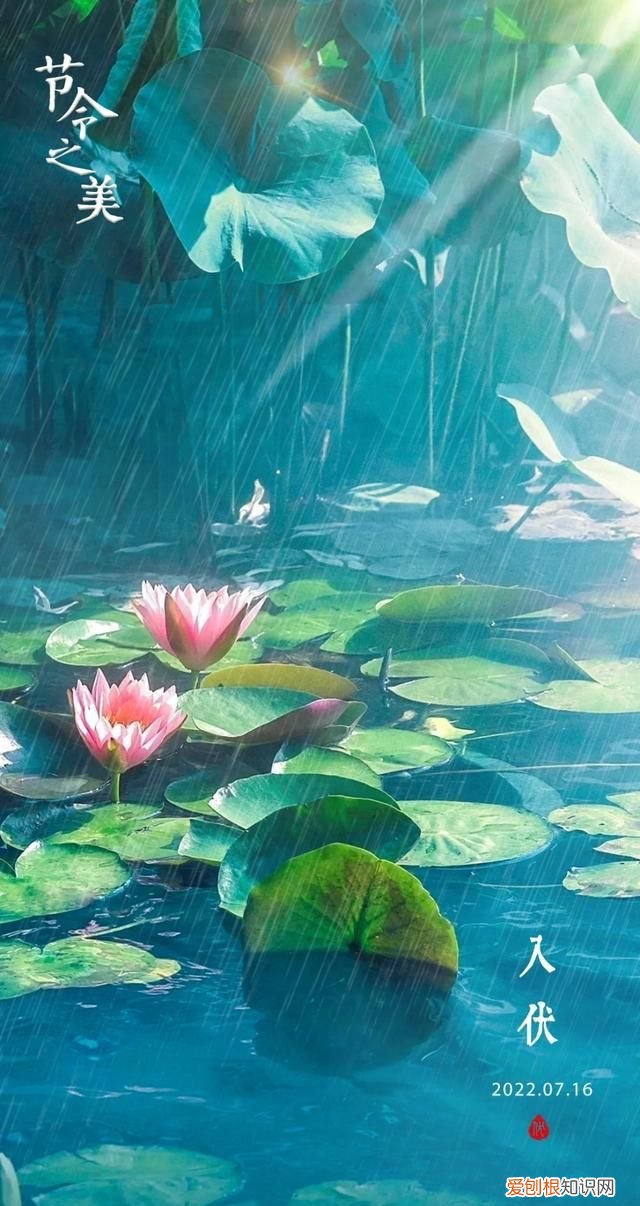 今年的三伏天长达40天,今年三伏天长达40天了