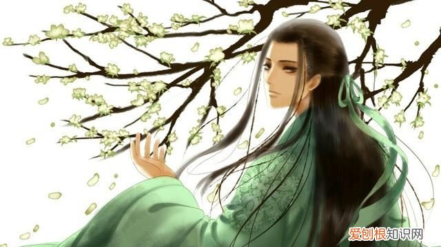 诗词大会杜甫绝句解析,诗词大会李贺解析