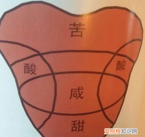 500毫升的白酒是一斤吗 白酒冷知识