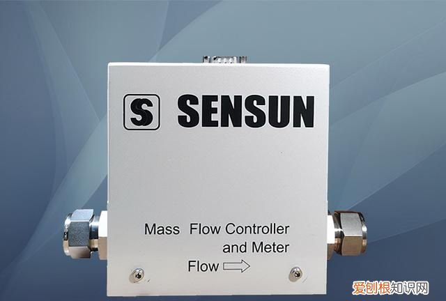 热式气体质量流量计的种类,热式气体质量流量计说明