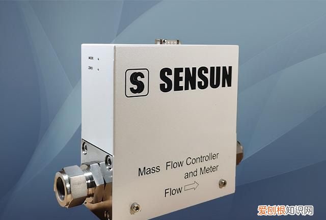 热式气体质量流量计的种类,热式气体质量流量计说明