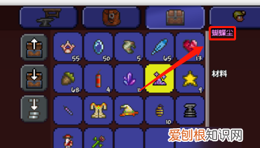 泰拉瑞亚翅膀怎么获得，泰拉瑞亚翅膀最容易得的怎么得