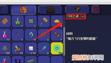 泰拉瑞亚翅膀怎么获得，泰拉瑞亚翅膀最容易得的怎么得