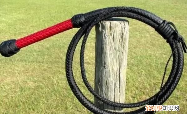 初学者怎么打鞭子，新手怎么练鞭子视频教程