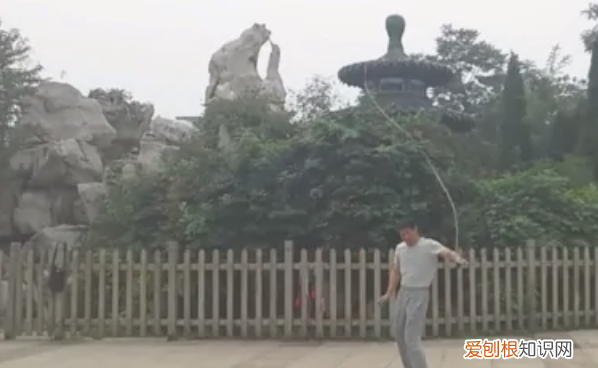 初学者怎么打鞭子,新手怎么练鞭子视频教程