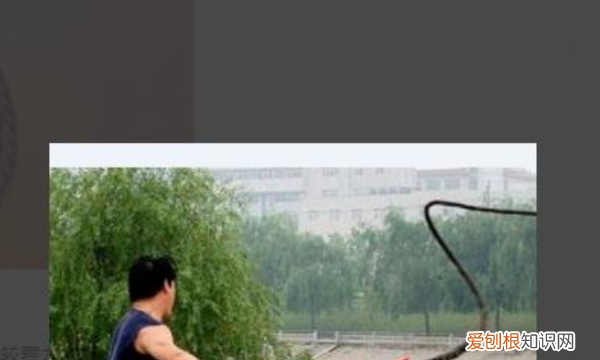 初学者怎么打鞭子,新手怎么练鞭子视频教程