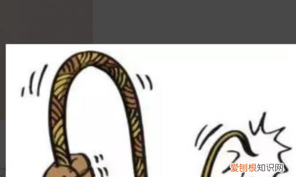 初学者怎么打鞭子,新手怎么练鞭子视频教程