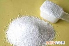 蟑螂怎样彻底消灭，怎样才能彻底消灭小强