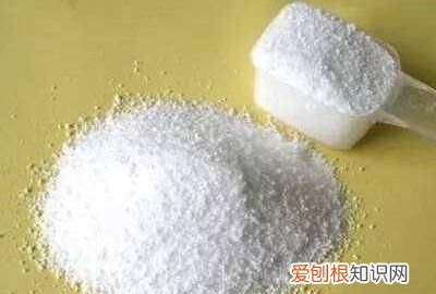 蟑螂怎样彻底消灭，怎样才能彻底消灭小强