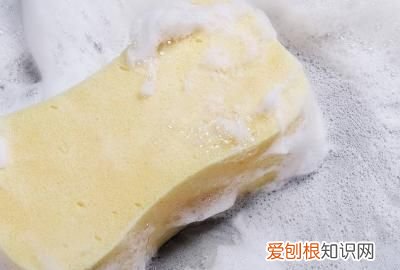 蟑螂怎样彻底消灭，怎样才能彻底消灭小强