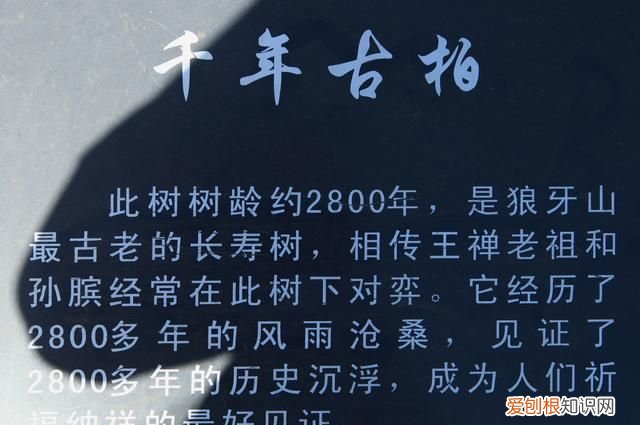 山西红色旅游经典景区有哪些,红色旅游狼牙山景区发展对策