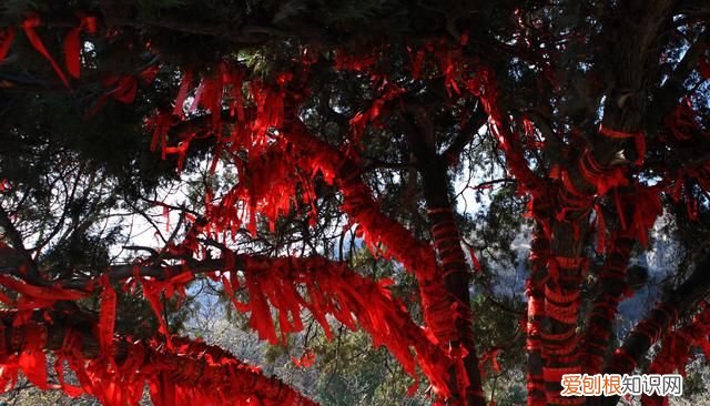 山西红色旅游经典景区有哪些,红色旅游狼牙山景区发展对策