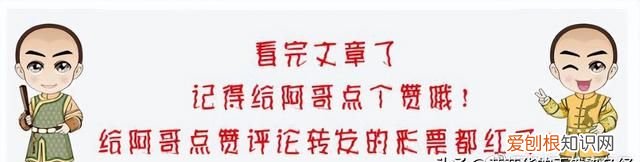 中国传统颜色鹿角棕,中华传统色黄棕