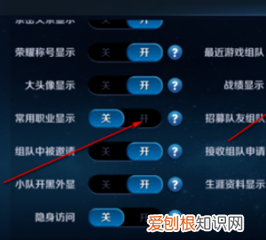 王者在哪里设置不可以看战绩