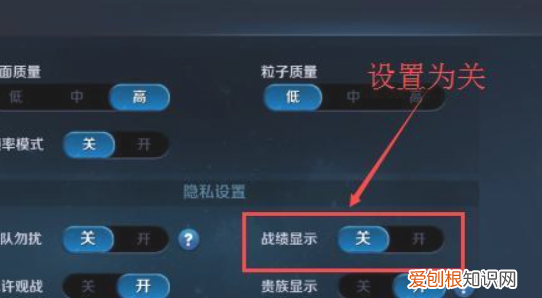 王者在哪里设置不可以看战绩