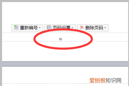 如何添加页码罗马数字,如何插入罗马数字的页码