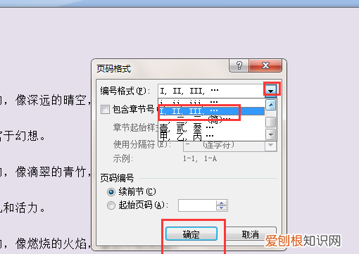 如何添加页码罗马数字,如何插入罗马数字的页码