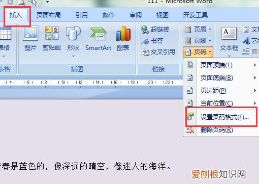 如何添加页码罗马数字,如何插入罗马数字的页码