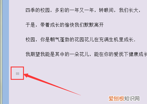 如何添加页码罗马数字,如何插入罗马数字的页码