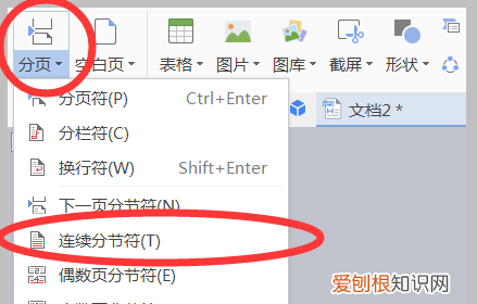 如何添加页码罗马数字,如何插入罗马数字的页码