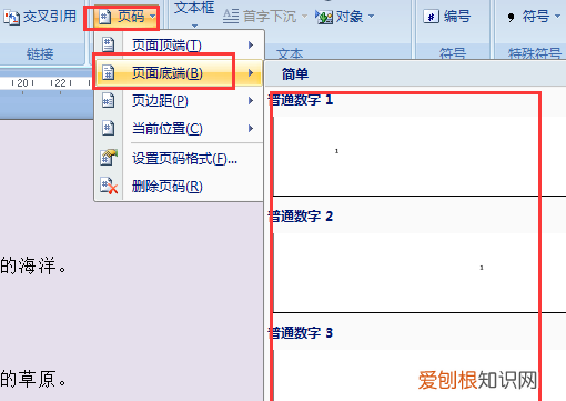 如何添加页码罗马数字,如何插入罗马数字的页码